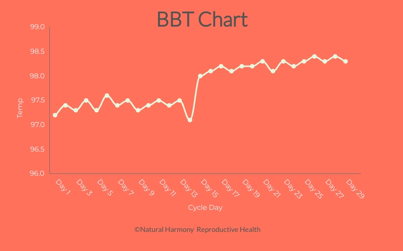 BBT Chart for fertility