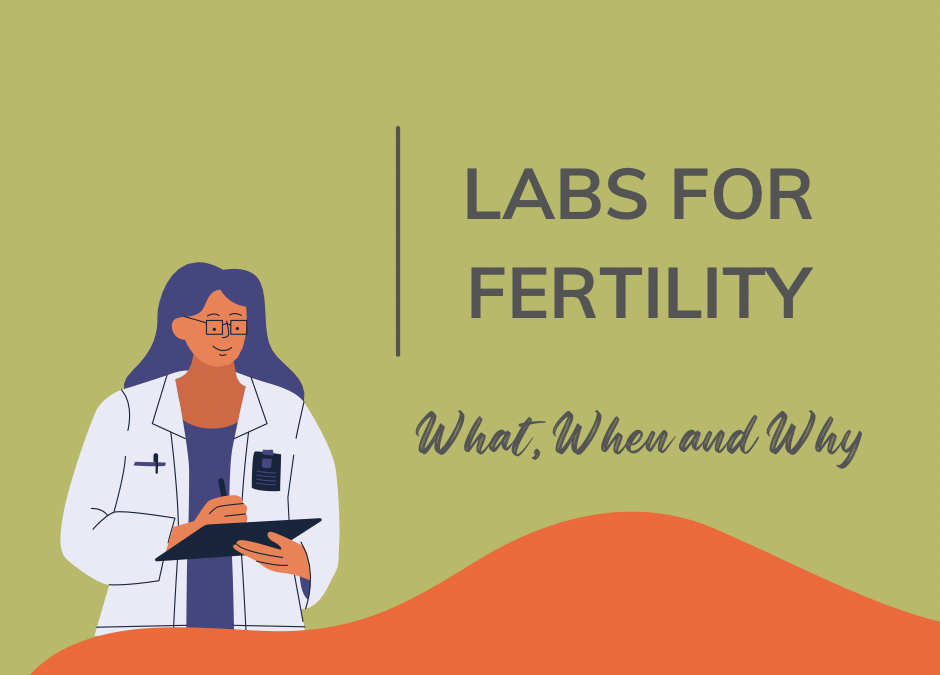 Lab Work for Fertility: A Quick + Easy Guide