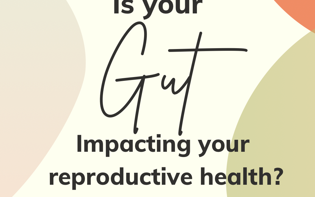 Fertility + Gut Health: What’s The Connection?