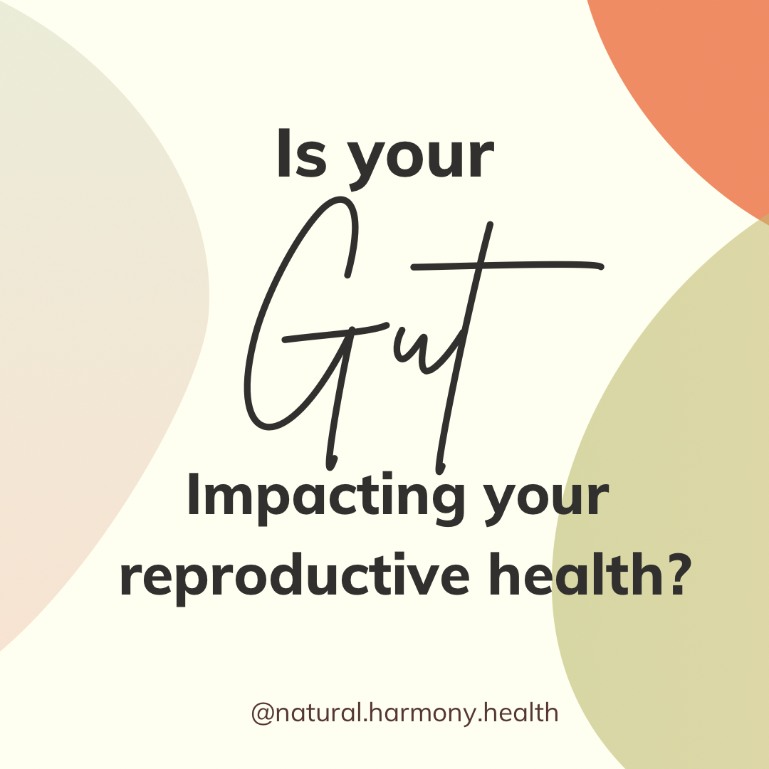 gut health fertility san diego