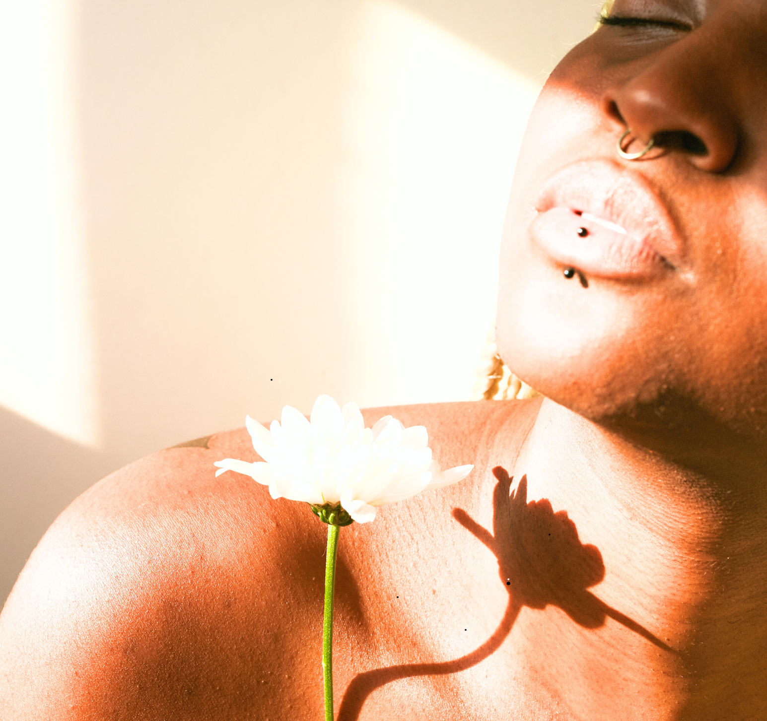 integrative endometriosis therapy san diego integrative endometriosis therapy san diego